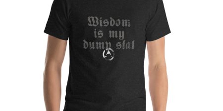 WIS is my dump stat - Unisex t-shirt