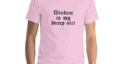 WIS is my dump stat - Unisex t-shirt